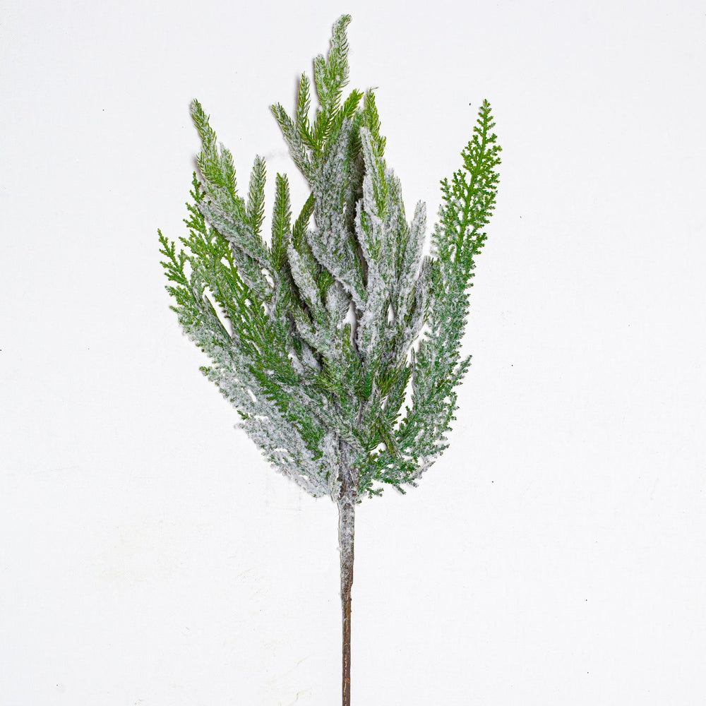 24" Frosted Norfolk Pine Spray Set Of 6