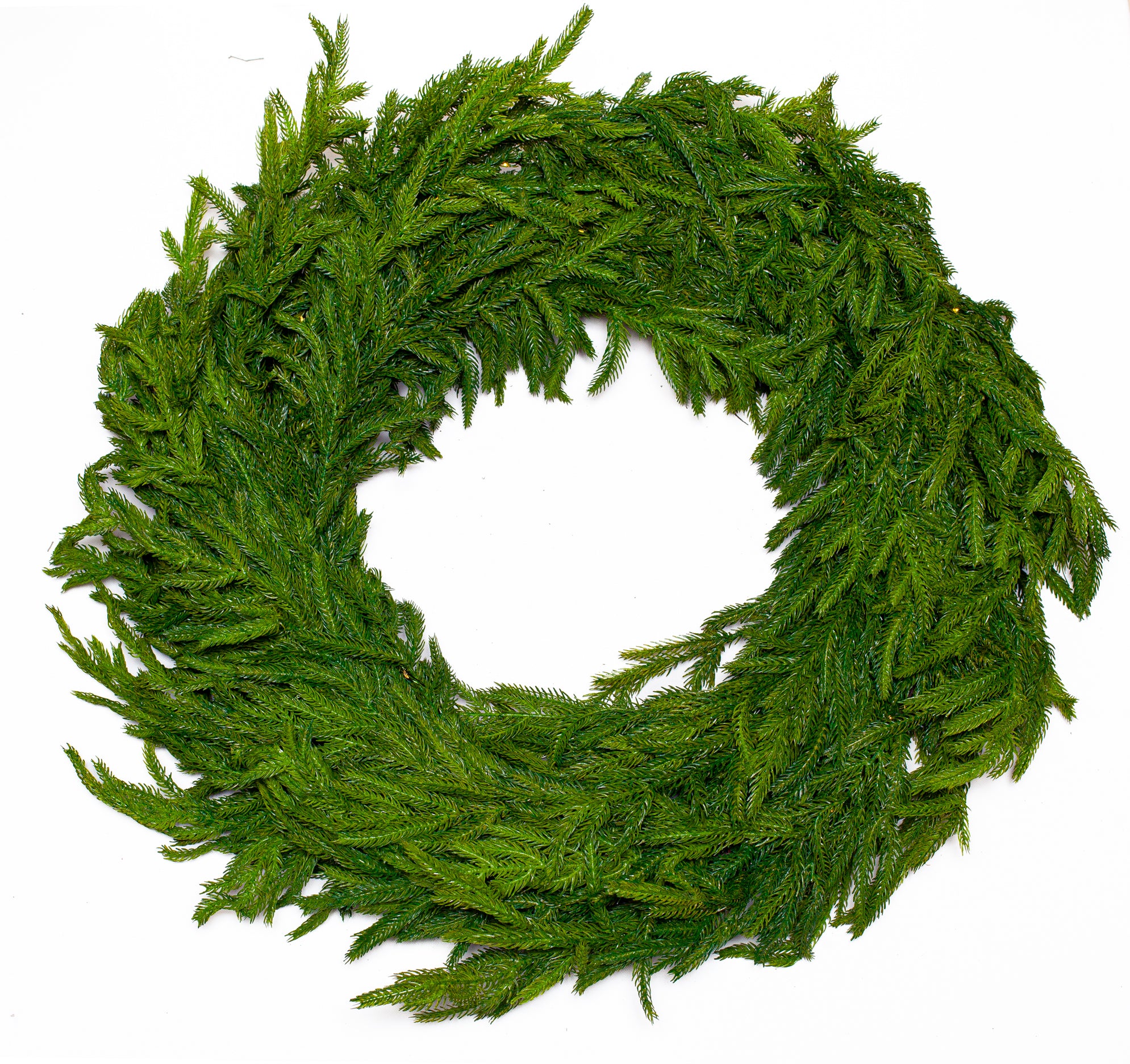 30" Norfolk Wreath Pre-Lit 150LED Battery Operated