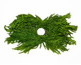 24" Norfolk Centerpiece Single Candle Space