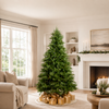 Deer Valley Spruce Tree Pre-Lit Warm White LED Lights