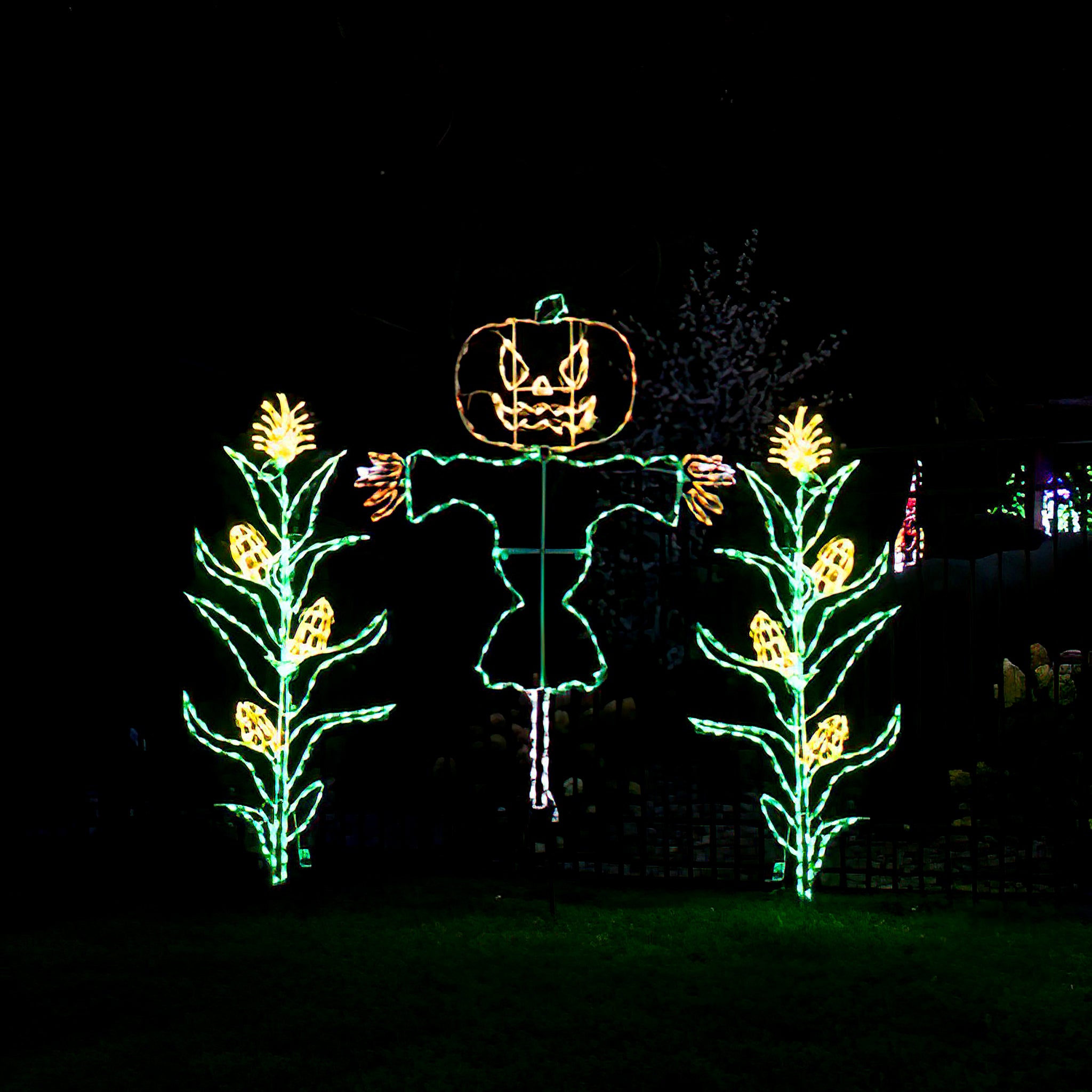 72" Fall Harvest LED Corn Stalk