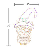 45" Halloween LED Witch Owl
