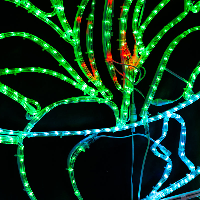 Planta Dionea Atrapamoscas con Luz de Cuerda Dinámica
