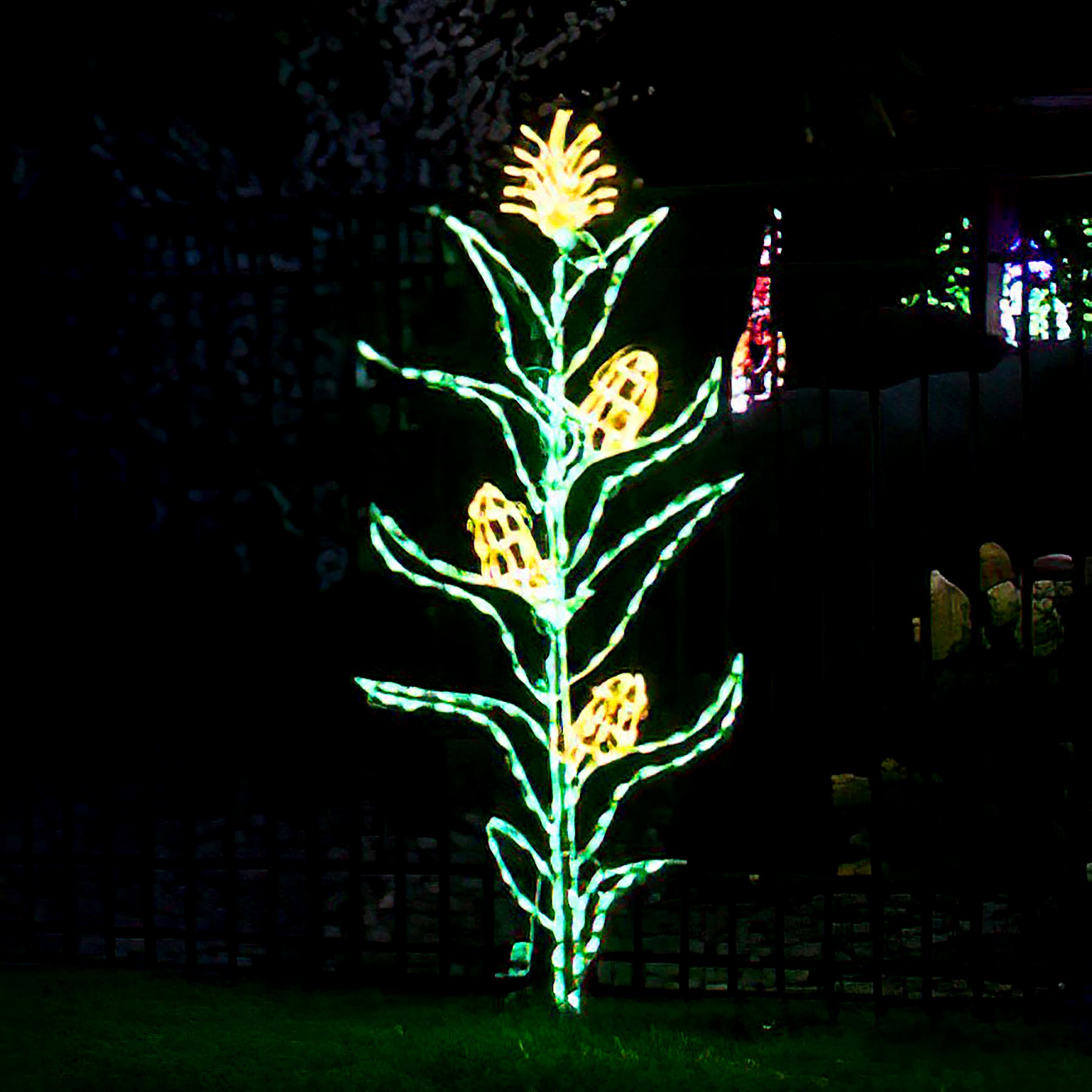 72" Fall Harvest LED Corn Stalk