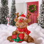 17.5" Reindeer With Santa Hat & Gift Box 80LED