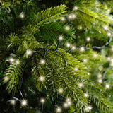 148 FT 2000 LED Warm White Compact Lights With Green Wire
