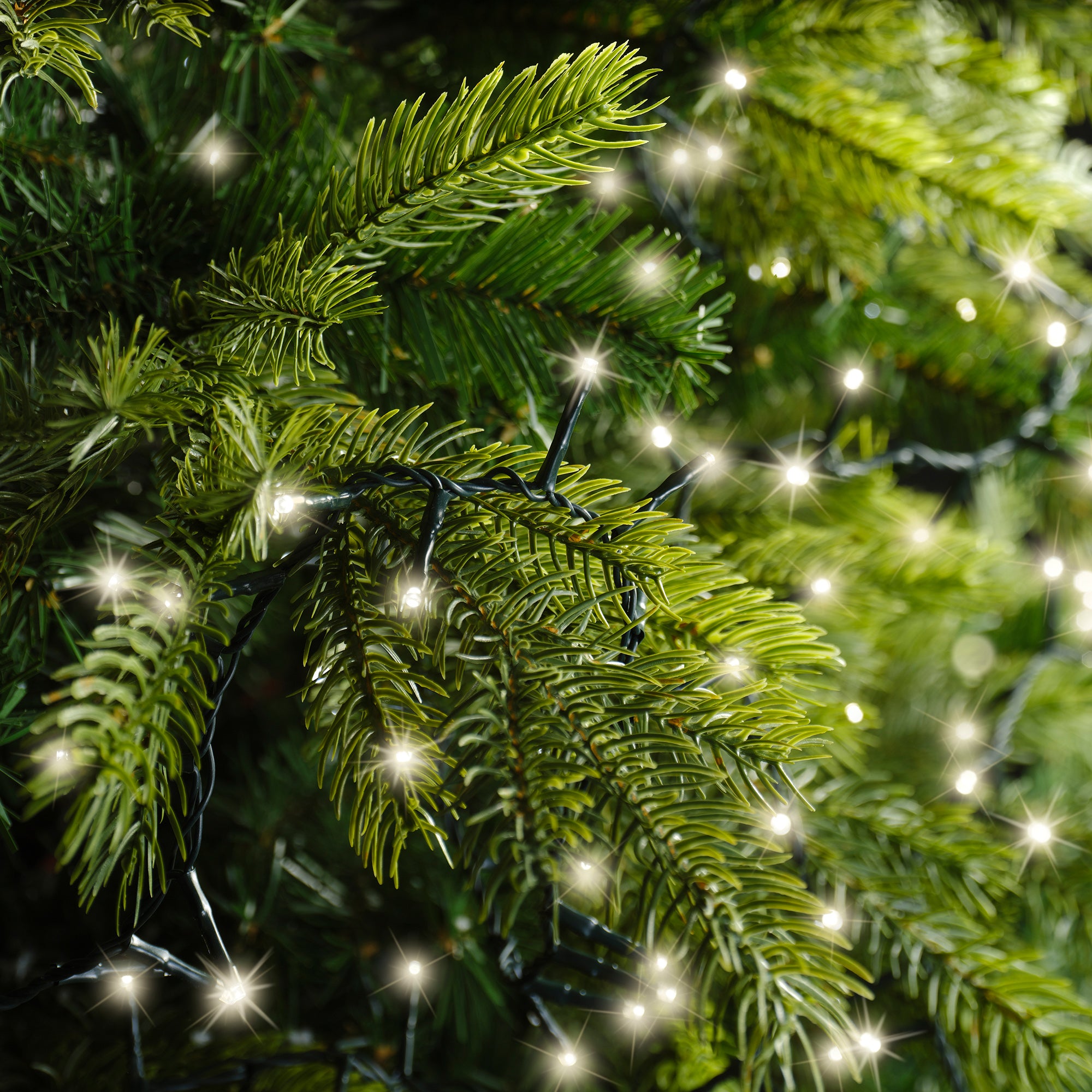 53 FT Compact 750 LED Warm White Lights With Green Wire
