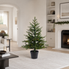 3 FT Potted Grandis Battery Operated Warm White Micro Led