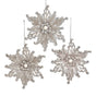 5" Platinum Poinsettia Ornament Set Of 12