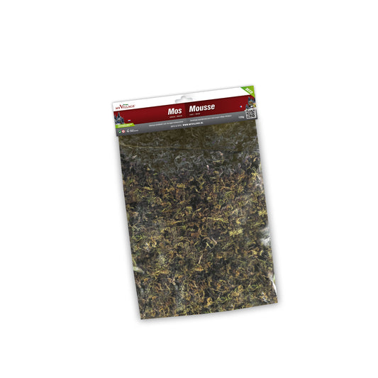Green Moss Village Accessory Set of 2