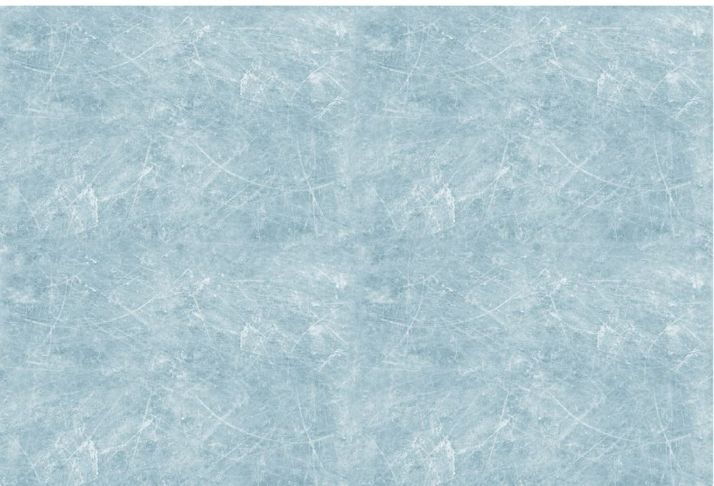 12" X 8" Ice Sheet Set Of 4