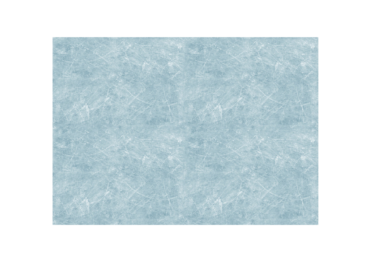 Juego de 4 láminas de hielo de 12" x 8"