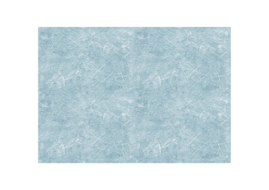 Juego de 4 láminas de hielo de 12" x 8"