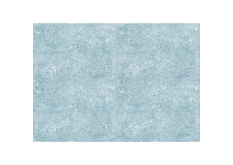 Juego de 4 láminas de hielo de 12" x 8"