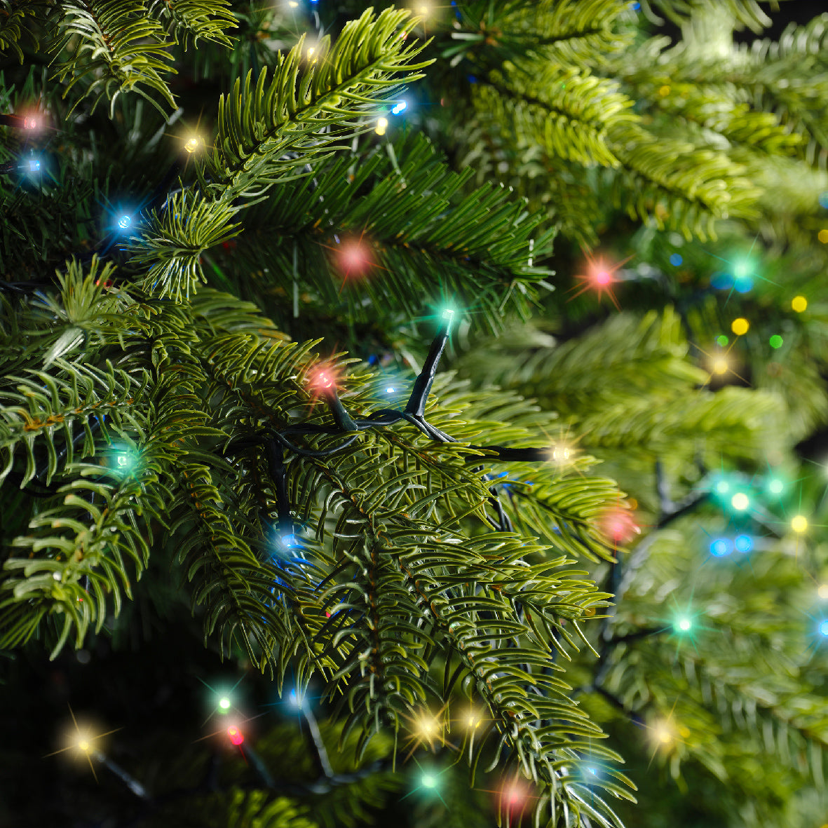 74 FT 1000 LED Multi Compact Lights With Green Wire