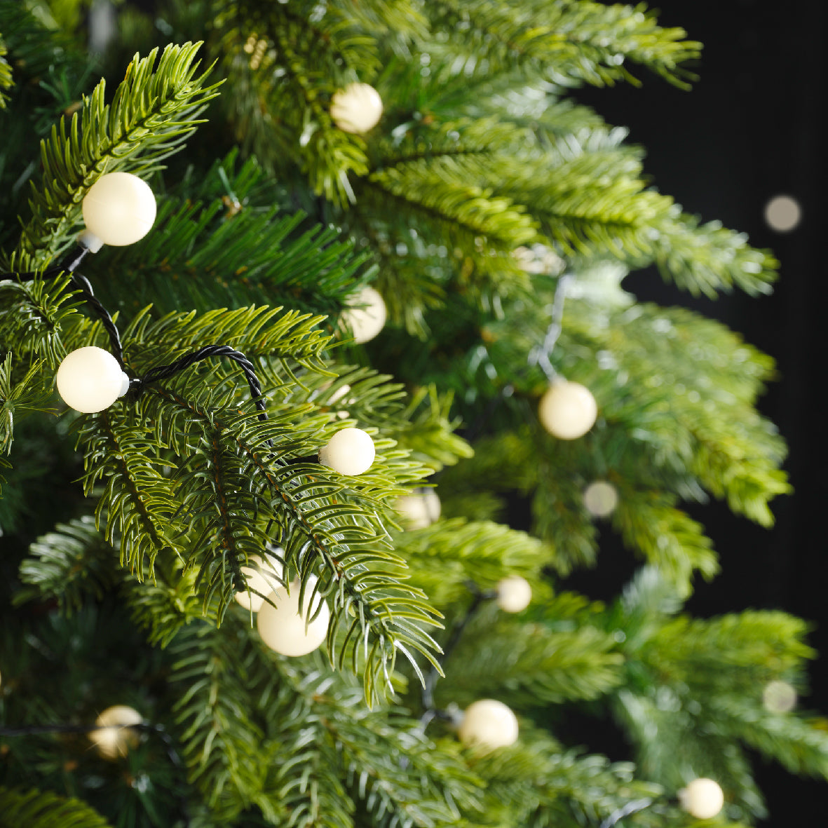 30 FT 120 LED Warm White Cherry Lights With Black Wire