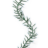 16 FT Cluster Starter Set Cool White String Of 500 LED Lights Transformer