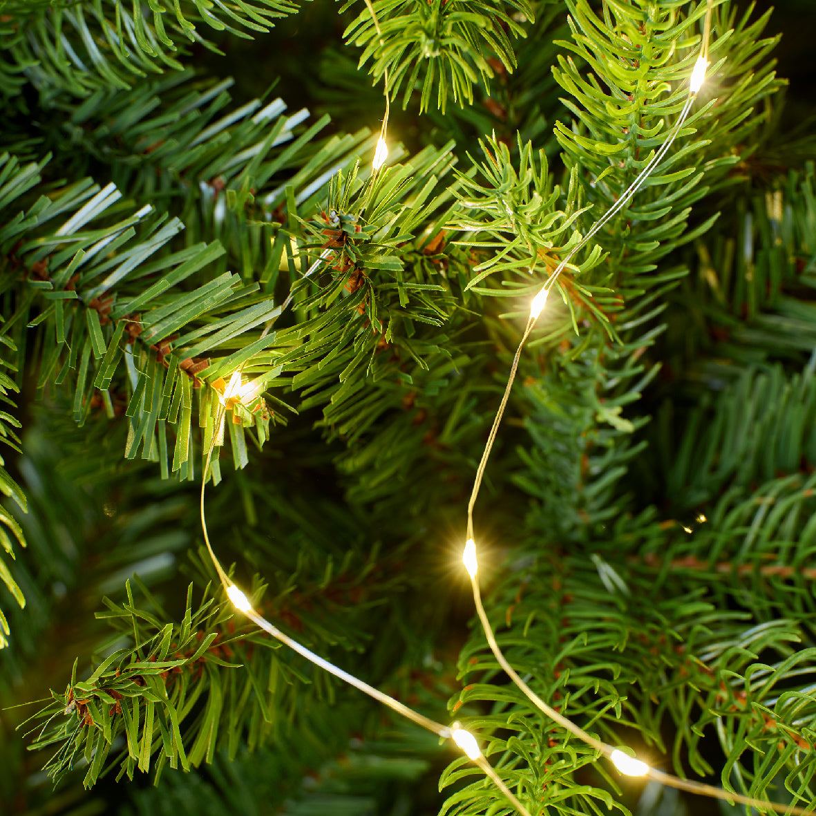 7 FT 672 LED Warm White Bunch Micro Lights With Silver Wire