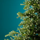 8 FT 832 LED Warm White Bunch Micro Lights With Green Wire