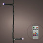 33 FT 100 LED Dancing Warm White & Color Changing Green Wire With Remote Control