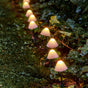 8" 20 LED Warm White Mushroom Stakes With Black Wire