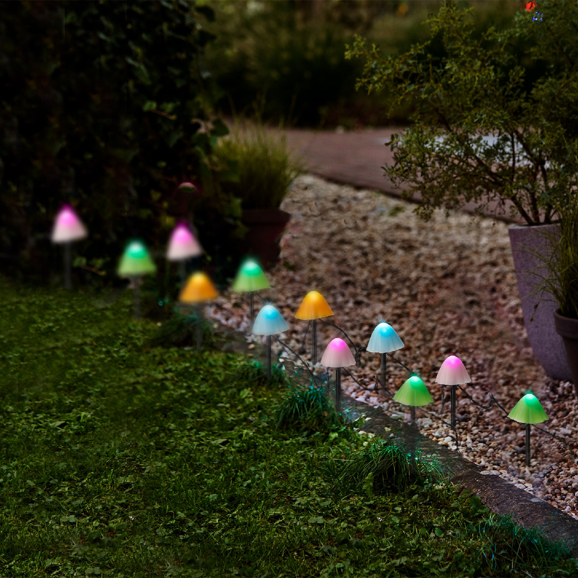 8" 20 LED Multi Mushroom Stakes With Black Wire