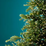 8 FT 832 Micro LED Warm White & Classic White Bunch Lights With Gold Wire