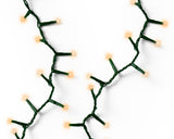 36 FT Compact 500 LED Clásico Cálido y Blanco Cálido Cable Verde 8 Funciones Centelleo