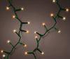 36 FT 500 LED Classic Warm & Warm White Compact Lights With Green Wire