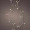 5 FT 20 LED Warm White Lights With Transparent Wire Battery Operated