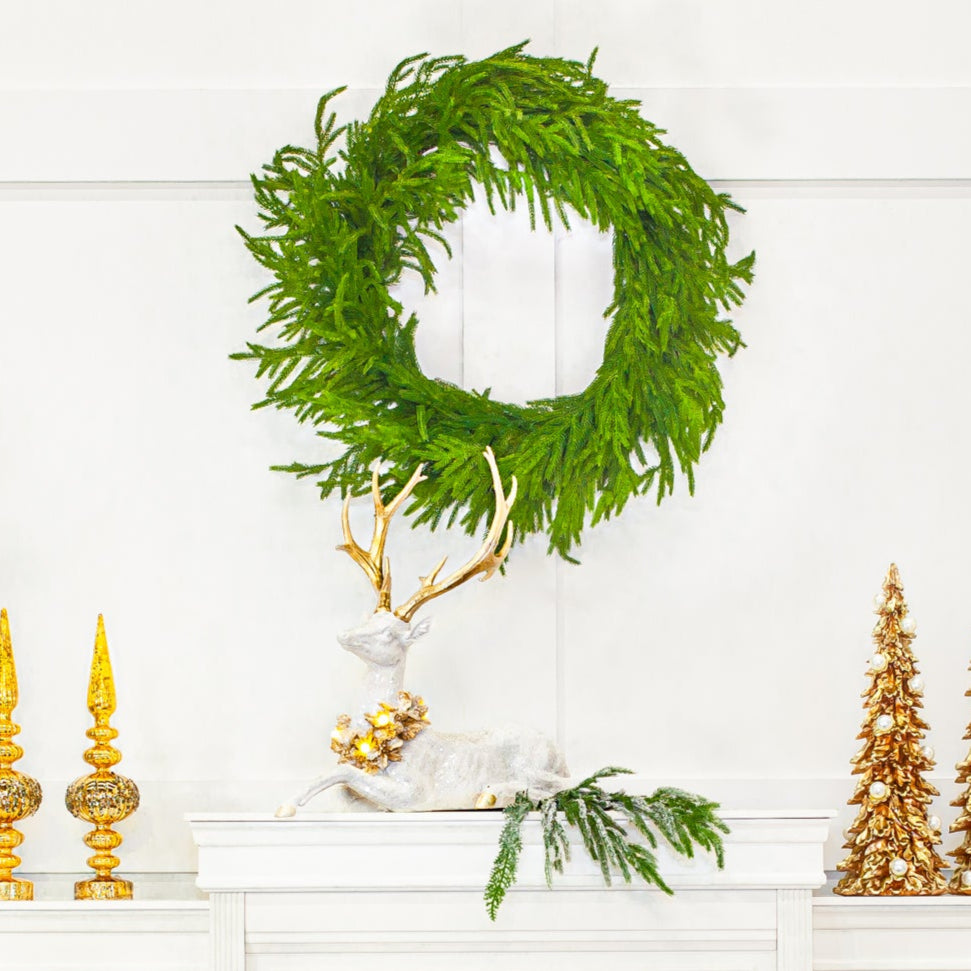 24" Frosted Norfolk Pine Spray Set Of 6