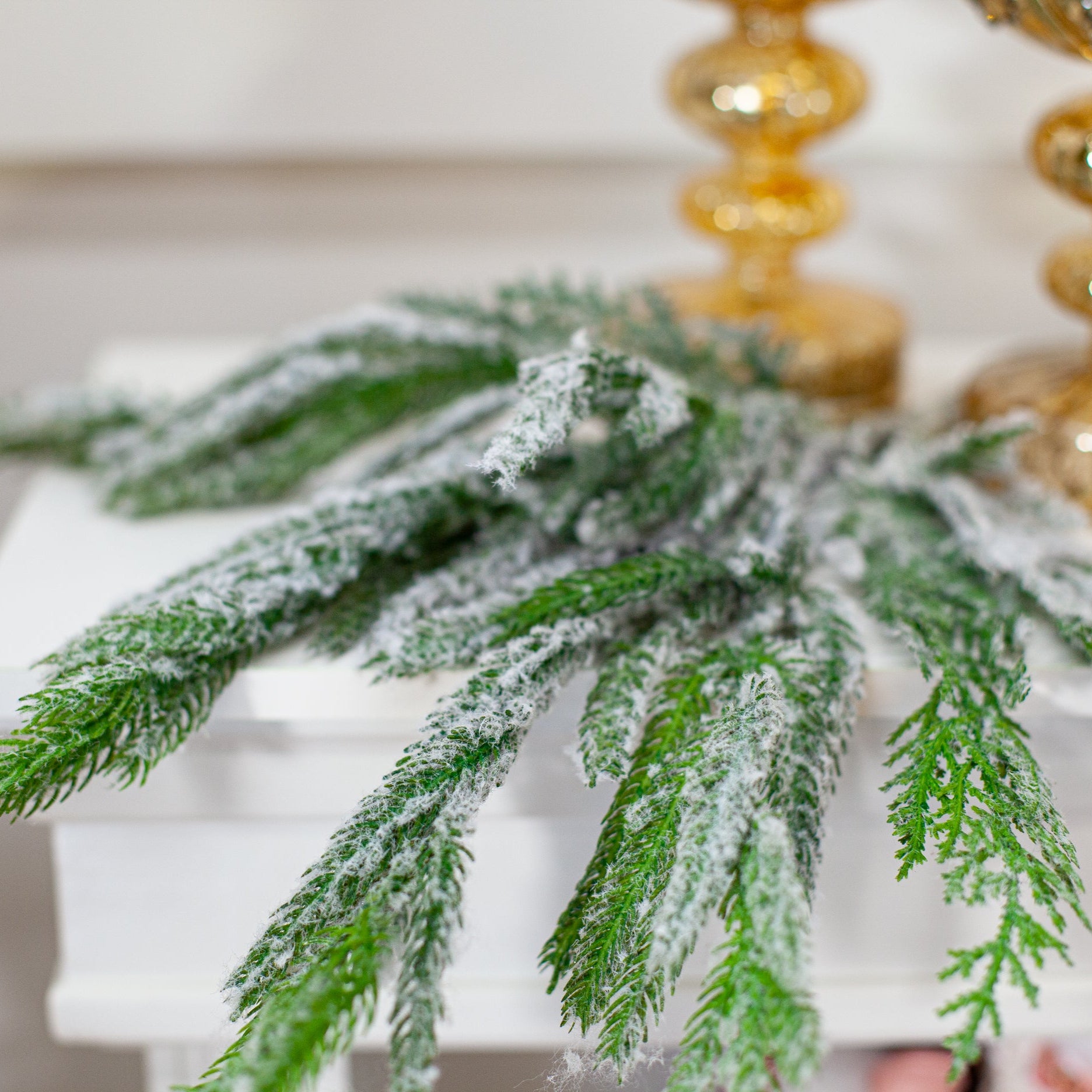 24" Frosted Norfolk Pine Spray Set Of 6
