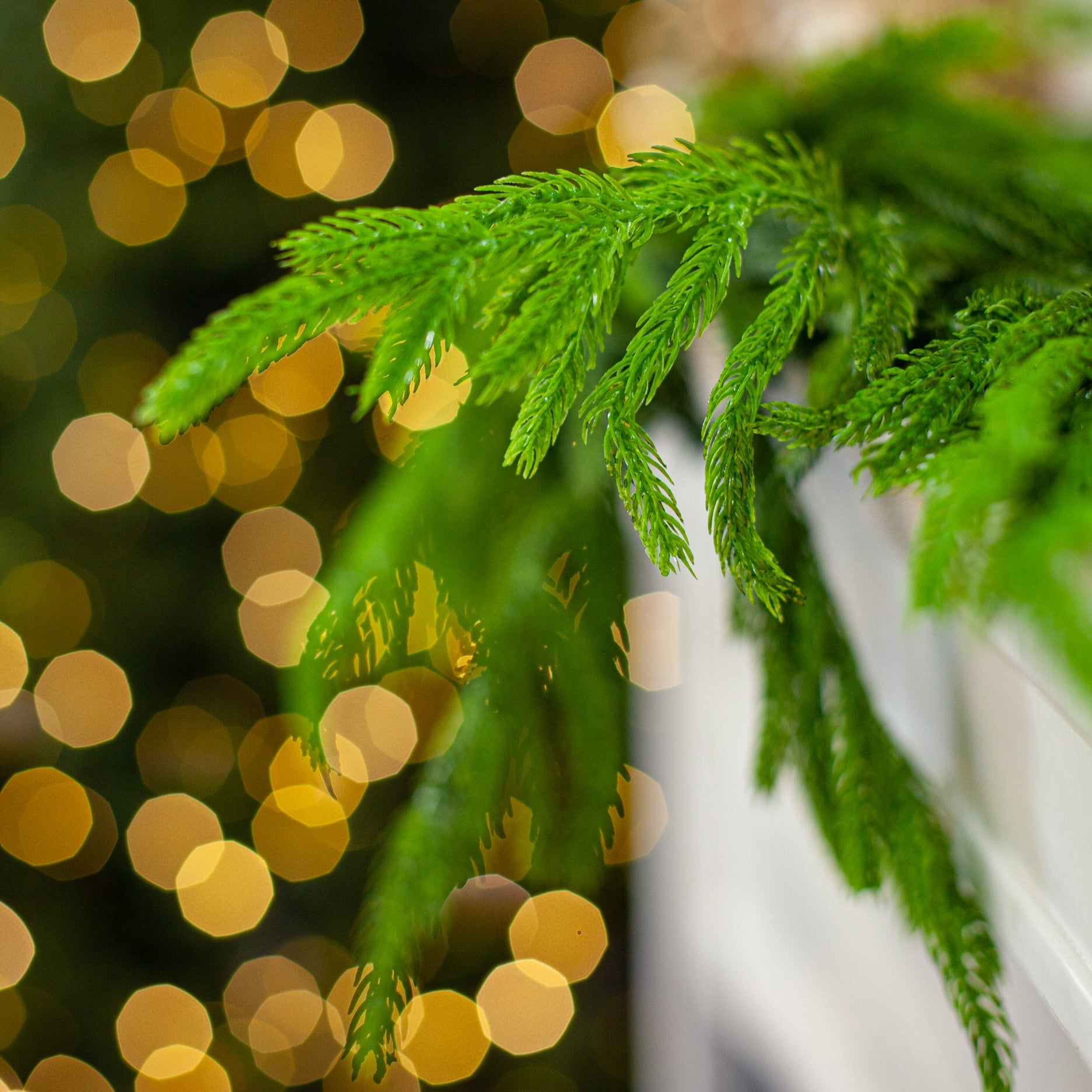 9 FT Norfolk Garland Unlit