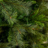 Deluxe Belgium Tree Unlit