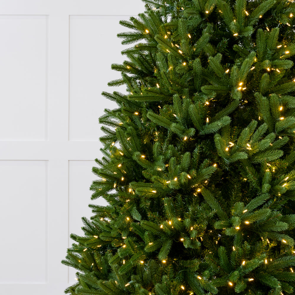Royal Fir Tree Pre-Lit Warm White LED Lights