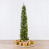 Is for Decorating a Pencil Tree With Clear Lights: Stunning Ideas