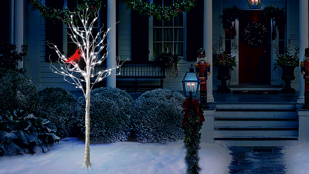 6 FT 120 LED Birch Tree With Cardinal Micro Pure White Lights Twinkling Effect