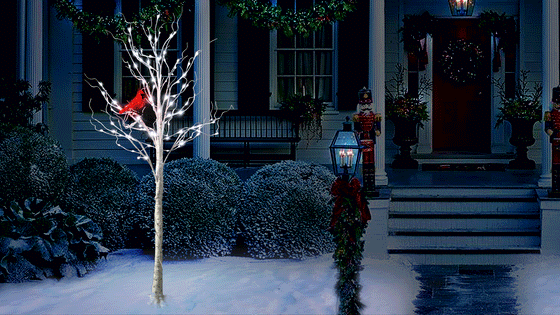 6 FT 120 LED Birch Tree With Cardinal Micro Pure White Lights Twinkling Effect