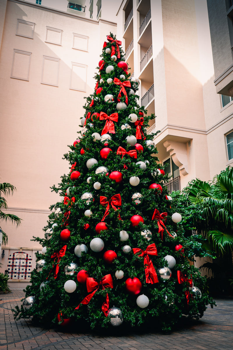 Olympia Tree Pre-Lit Warm White LED Lights