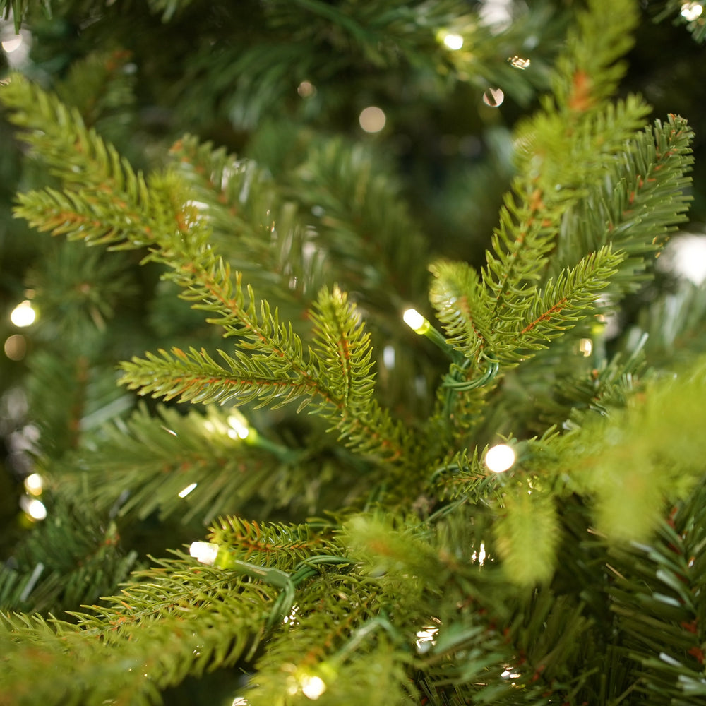 Norway Deluxe Tree Pre Lit Warm White LED Lights