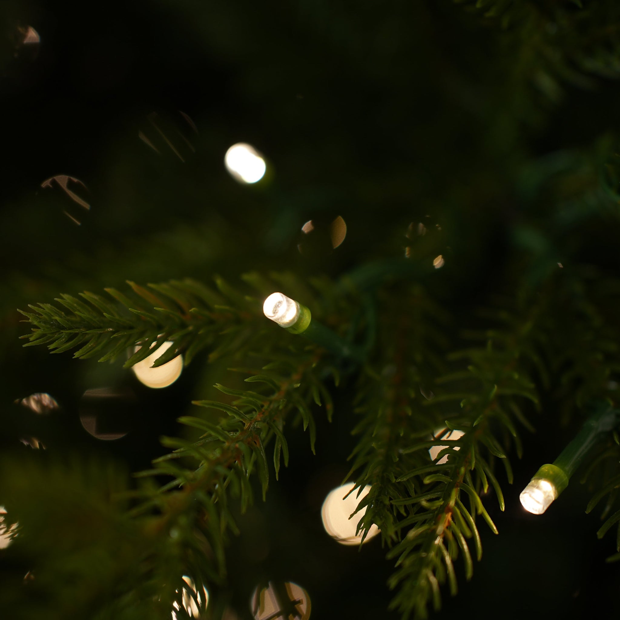 Norway Deluxe Tree Pre Lit Warm White LED Lights