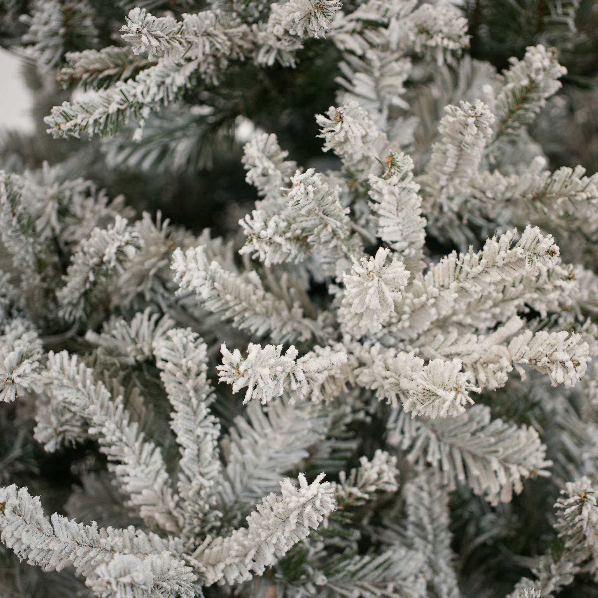 Duke Flocked Tree Unlit