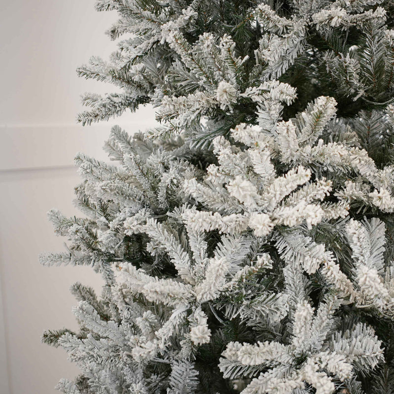 Frosted Christmas tree against a plain background