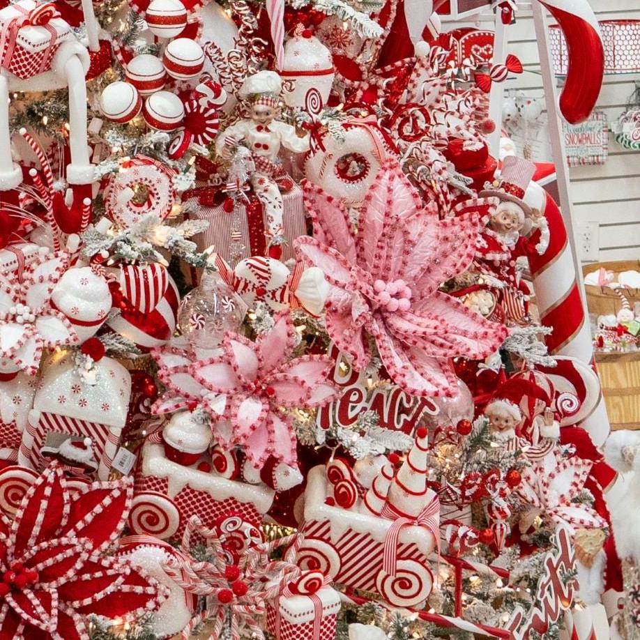 22" Pink & Red Candy Poinsettia Set Of 6