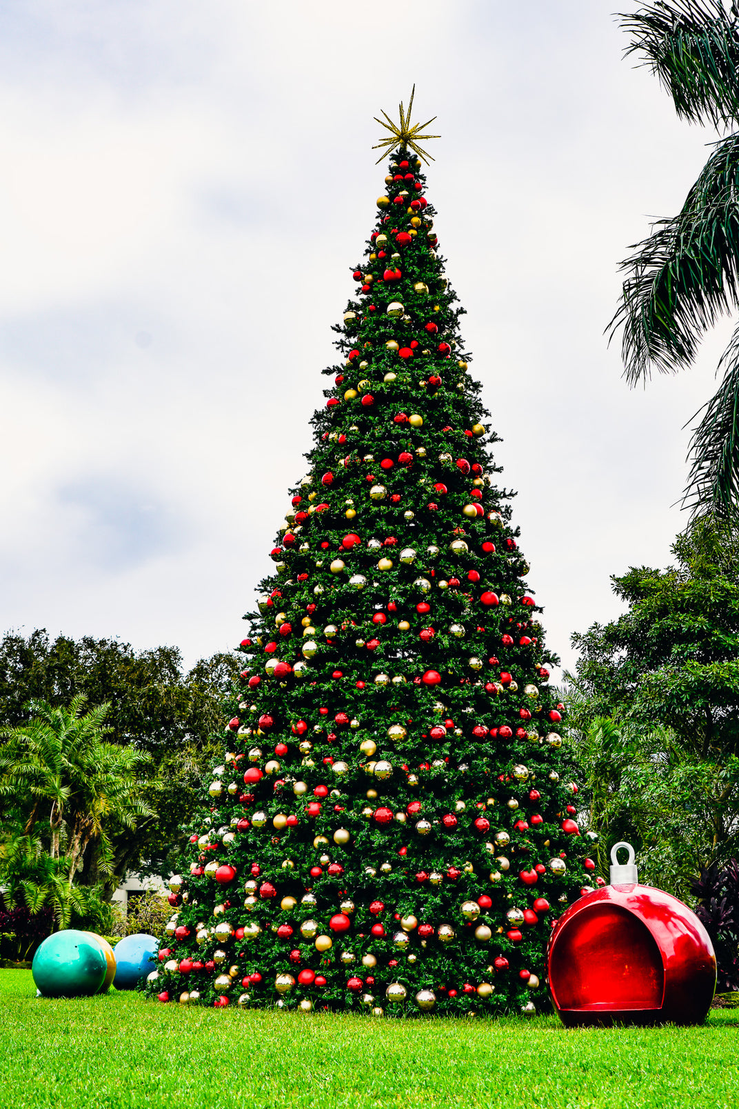 Olympia Tree Pre-Lit Warm White LED Lights