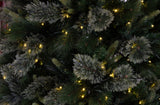 Scotch Pine Dynamic RGBWW LED Lights