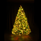 Scotch Pine Dynamic RGBWW LED Lights