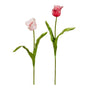 22.5" Real Touch Pink Parrot Tulip Stem Assorted Set Of 6