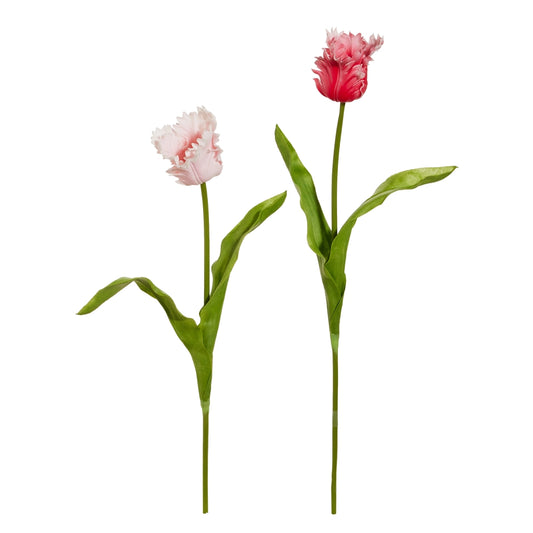 22.5" Real Touch Pink Parrot Tulip Stem Assorted Set Of 6