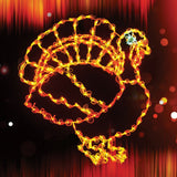 37" LED Thanksgiving Turkey